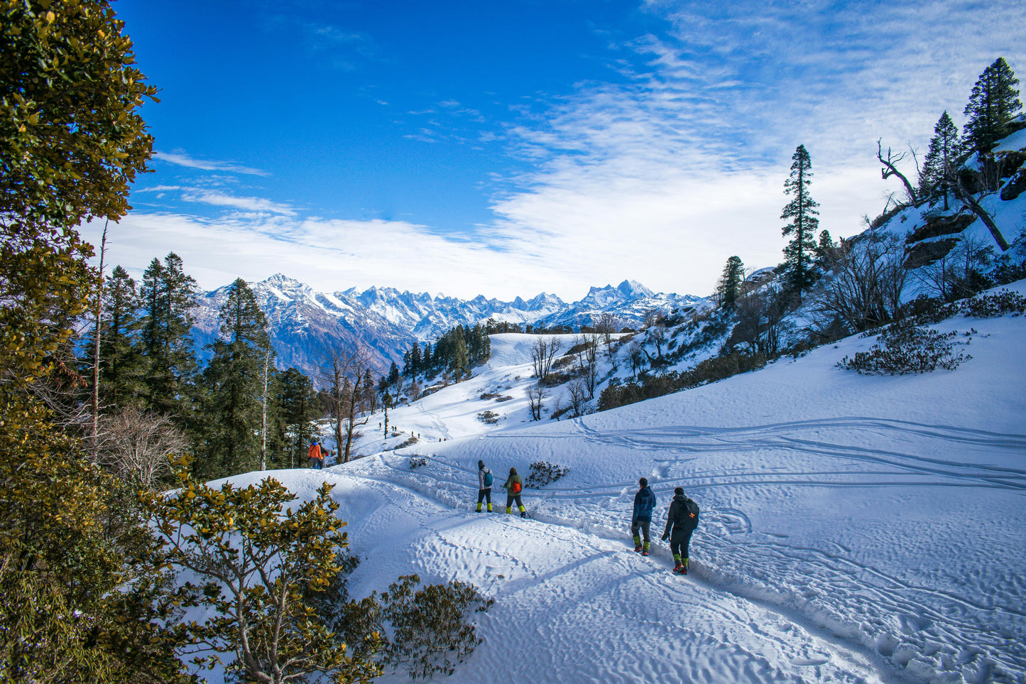 Manali Hills Retreat 4 N / 5 D
