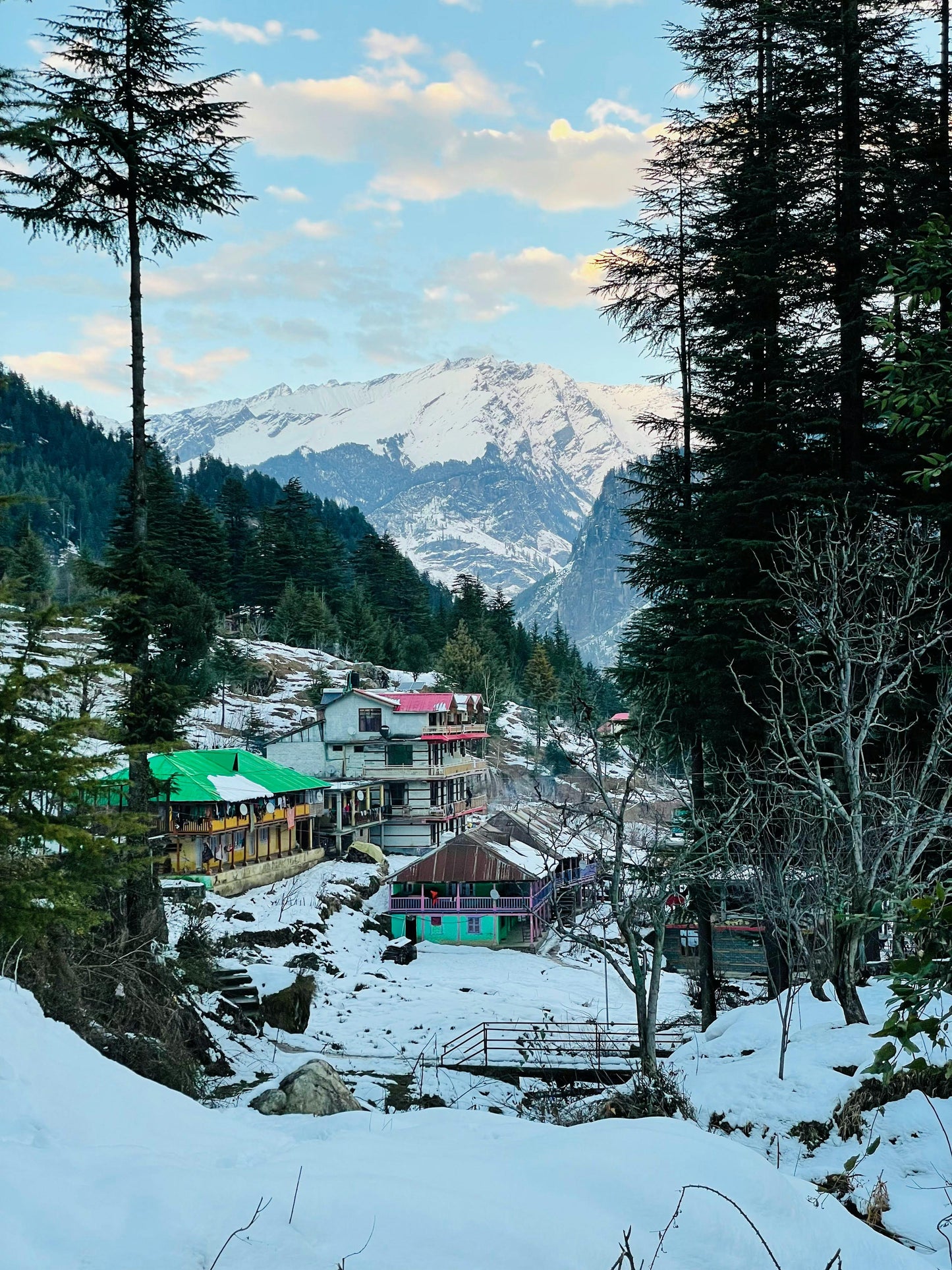 Manali Hills Retreat 4 N / 5 D