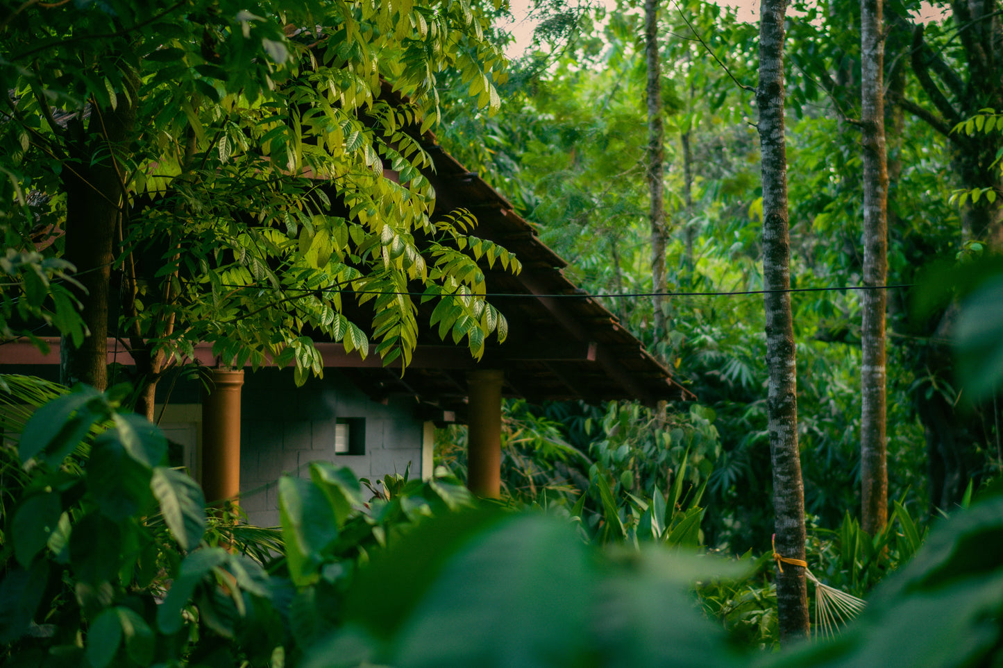 Coorg Nature Escape 5N/6D